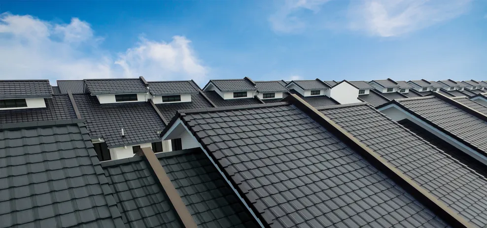 Pitched roof design project